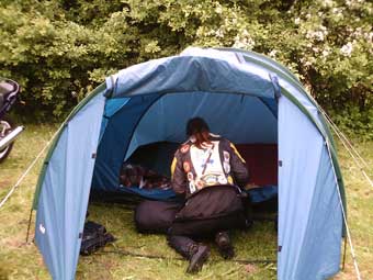 sunfellow06_03.jpg